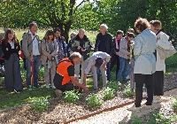 Inaugurato a Cividale del Friuli un nuovo Giardino Mediterraneo incluso nel progetto transfrontaliero Meds Garden+